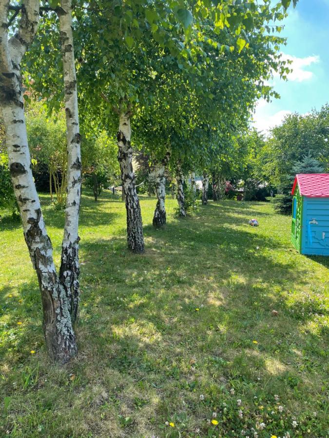 U Kowola - Gospodarstwo Agroturystyczne Weglowka  Luaran gambar